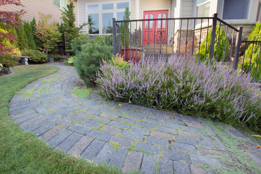 Outdoor Garden Lights Along Concrete Walkway